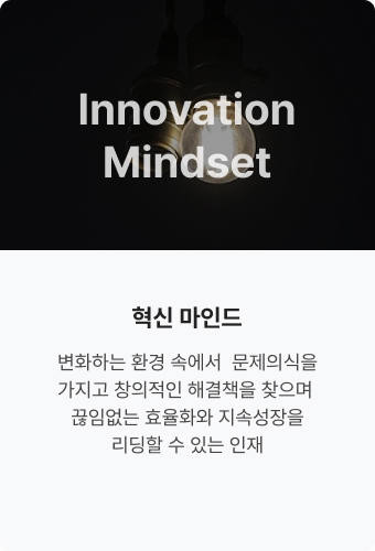 Innovation Mindset
                             혁신 마인드. 변화하는 환경 속에서 
                            문제의식을 가지고 
                            창의적인 해결책을 
                            찾으며 끊임없는 
                            효율화와 지속성장을 
                            리딩할 수 있는 인재